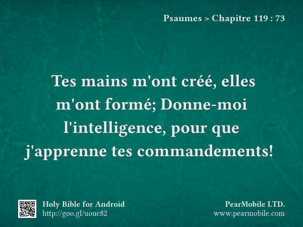Psaumes, Chapitre 119:73